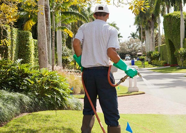About Monument CO Pest Control